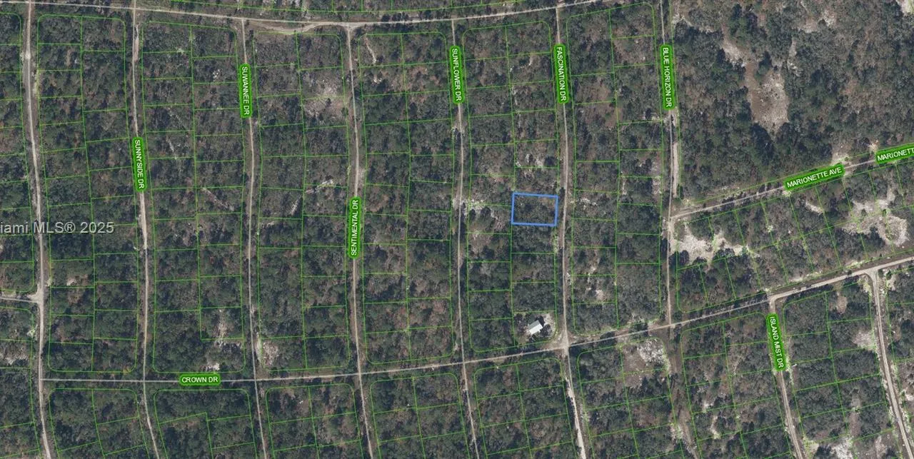 252 Fascination Drive, Lake Placid FL 33852