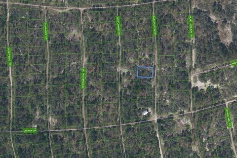 252 Fascination Drive, Lake Placid FL 33852