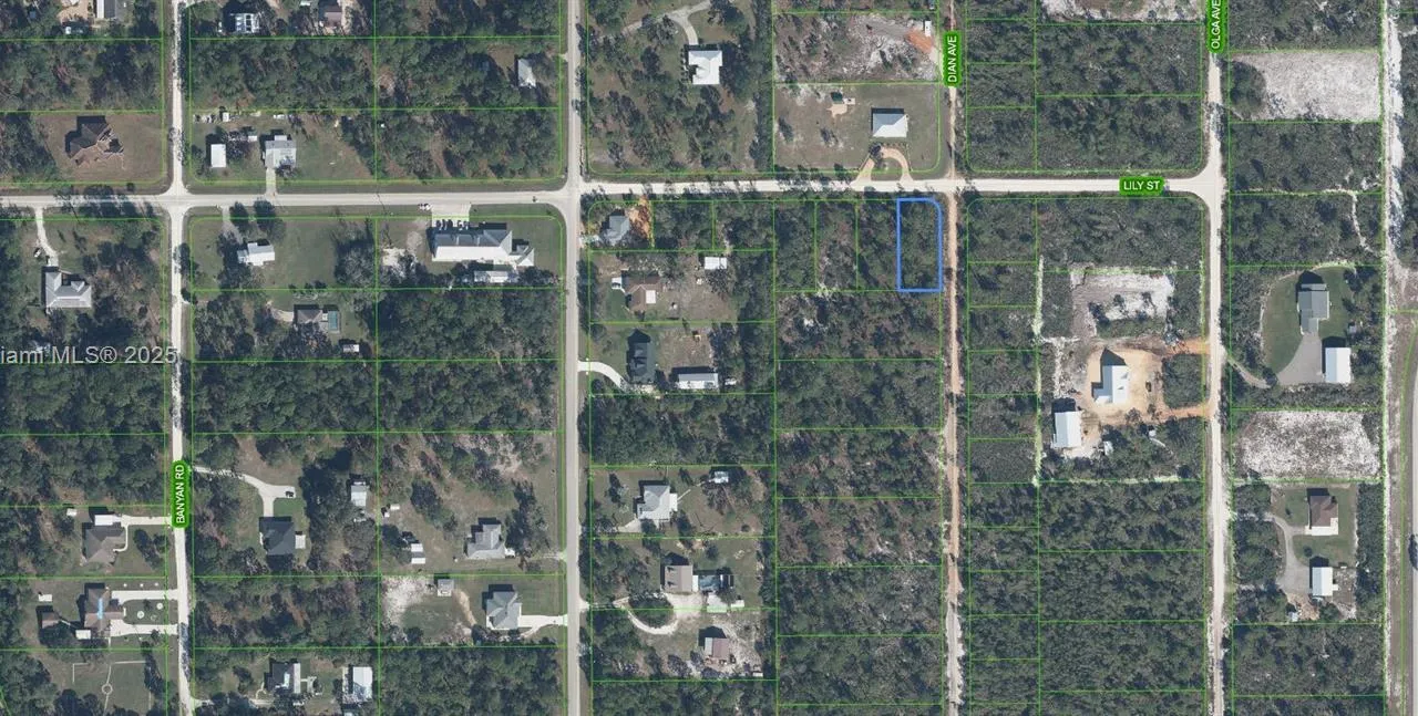 809 Lily Street, Sebring FL 33875