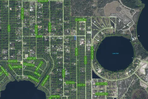 809 Lily Street, Sebring FL 33875