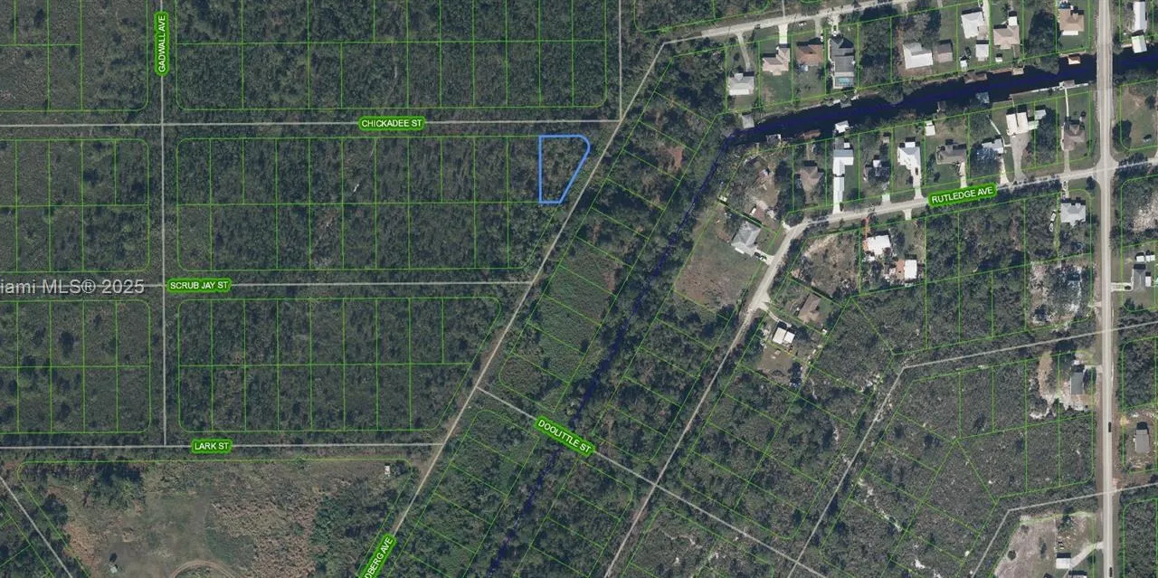 1453 Chickadee Street, Lake Placid FL 33852
