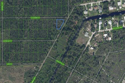 1453 Chickadee Street, Lake Placid FL 33852