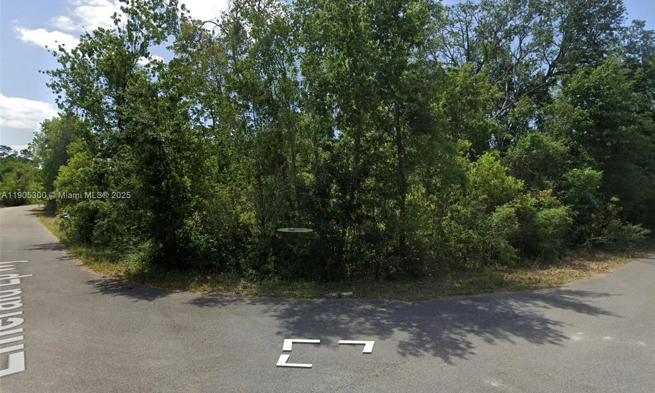 201 Emerald Loop Way, Ocala FL 34472