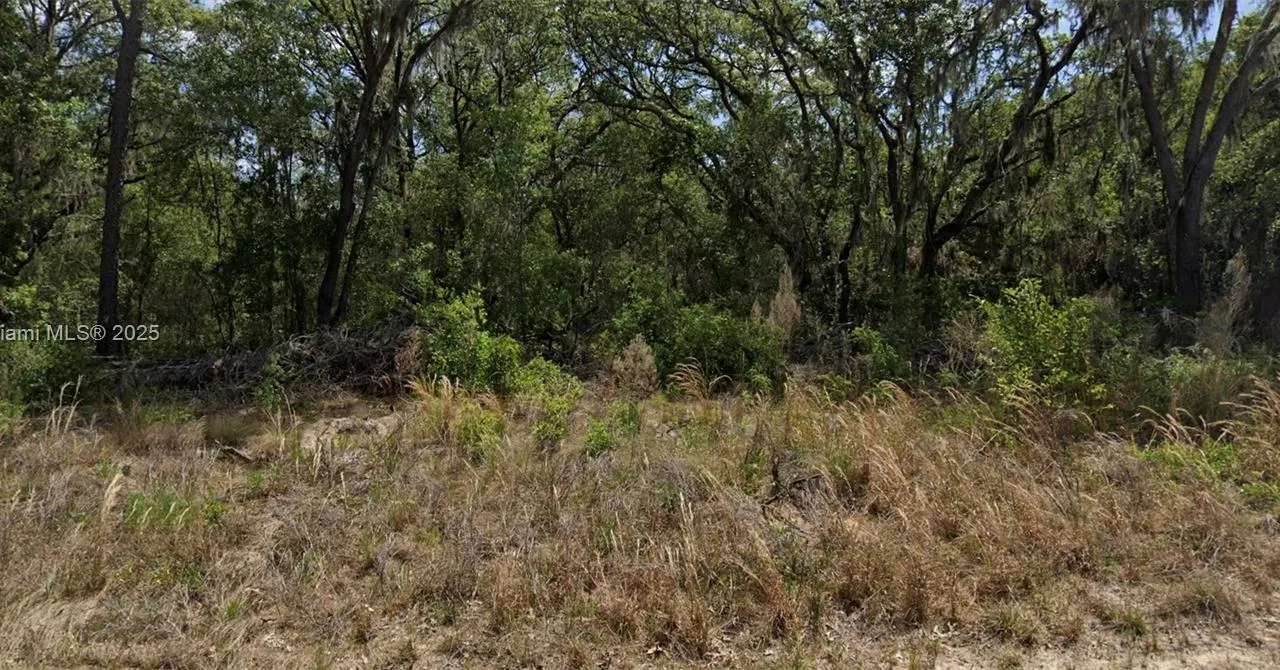 11 Hickory Track Drive, Ocala FL 34472