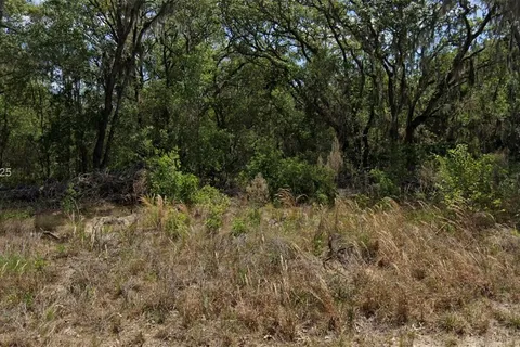 11 Hickory Track Drive, Ocala FL 34472