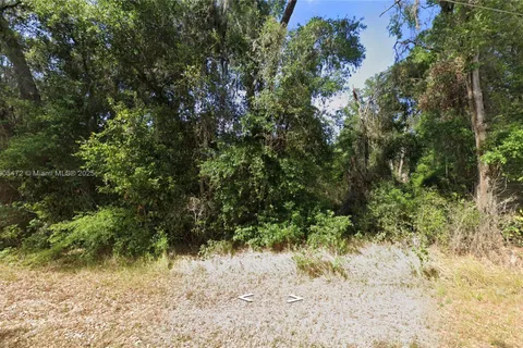TBD Oak Circle, Ocala FL 34472