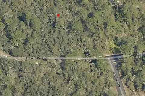 TBD Locust Loop Radial, Ocala FL 34472