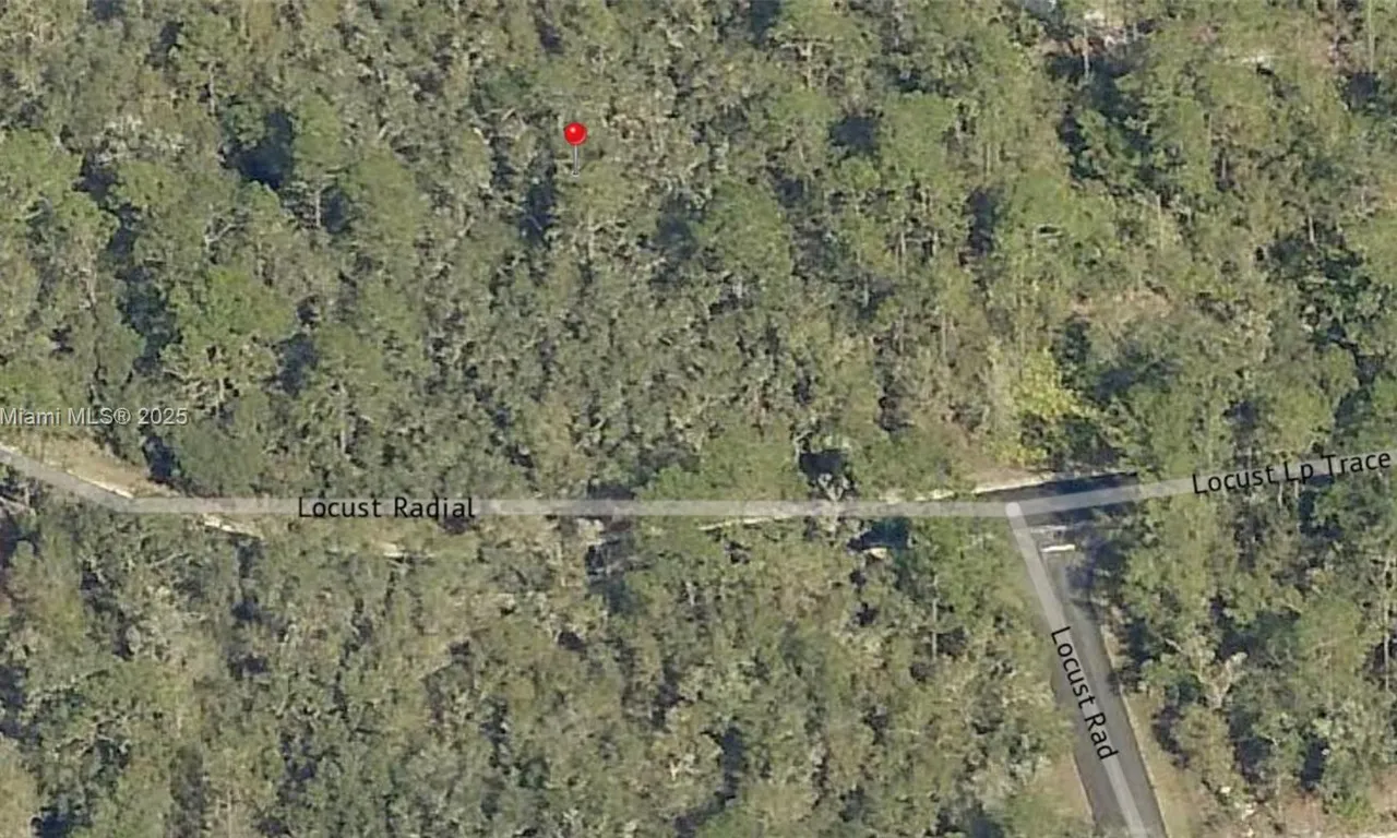TBD Locust Loop Radial, Ocala FL 34472