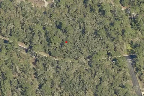 TBD Locust Loop Radial, Ocala FL 34472