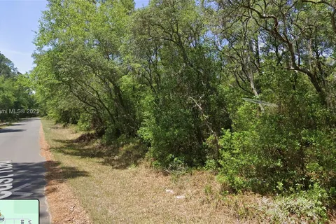 TBD Locust Loop Radial, Ocala FL 34472