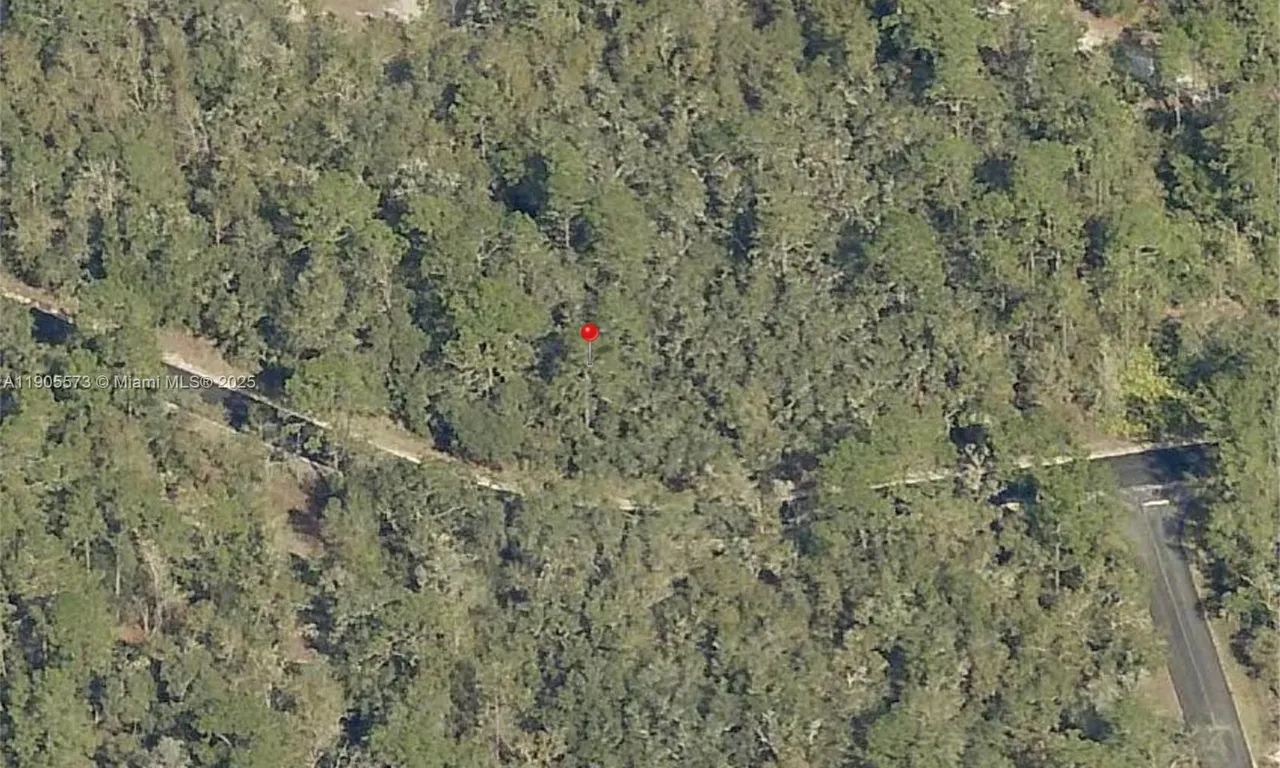 TBD Locust Loop Radial, Ocala FL 34472