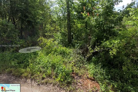 TBD Locust Place, Ocala FL 34472