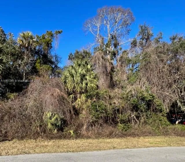 1147 W State Park ST, Other City - In The State Of Florida FL 34428