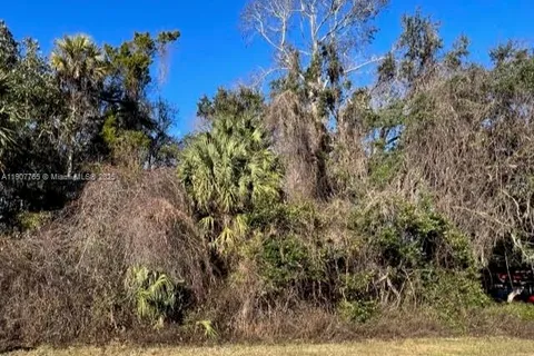 1147 W State Park ST, Other City - In The State Of Florida FL 34428