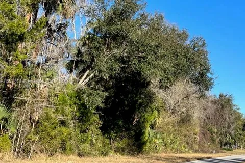 1147 W State Park ST, Other City - In The State Of Florida FL 34428
