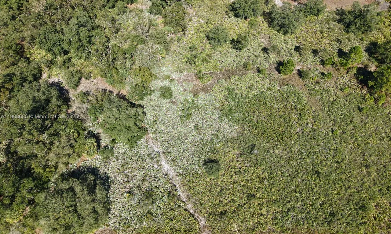 15527 NW 252ND, Okeechobee FL 34972