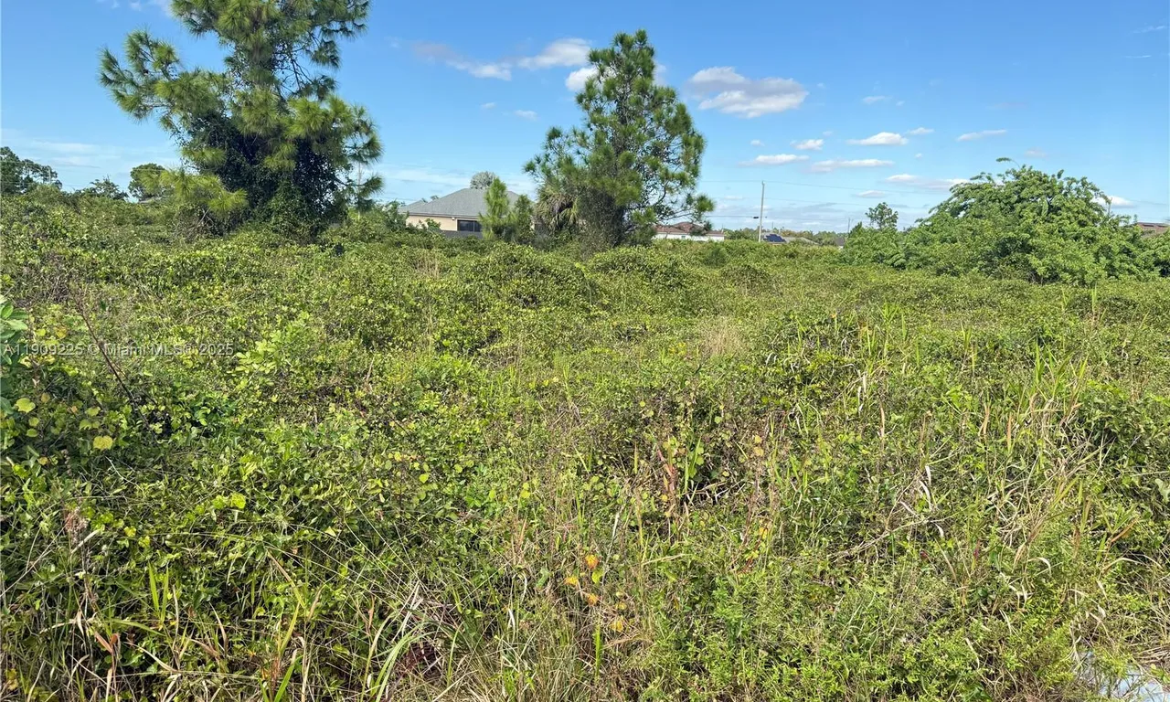 521 E TRINITY ST, Lehigh Acres FL 33974