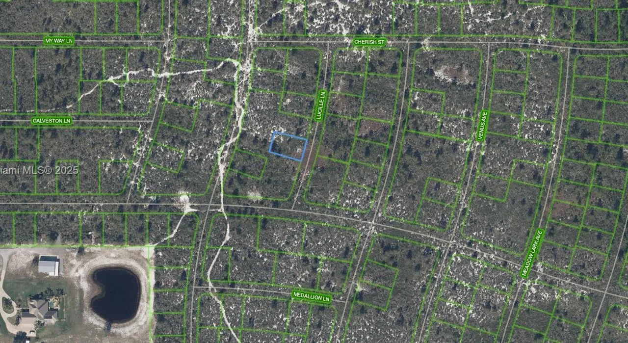 431 Lucille Lane, Lake Placid FL 33852