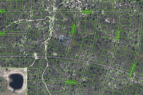 431 Lucille Lane, Lake Placid FL 33852