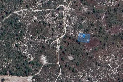 431 Lucille Lane, Lake Placid FL 33852