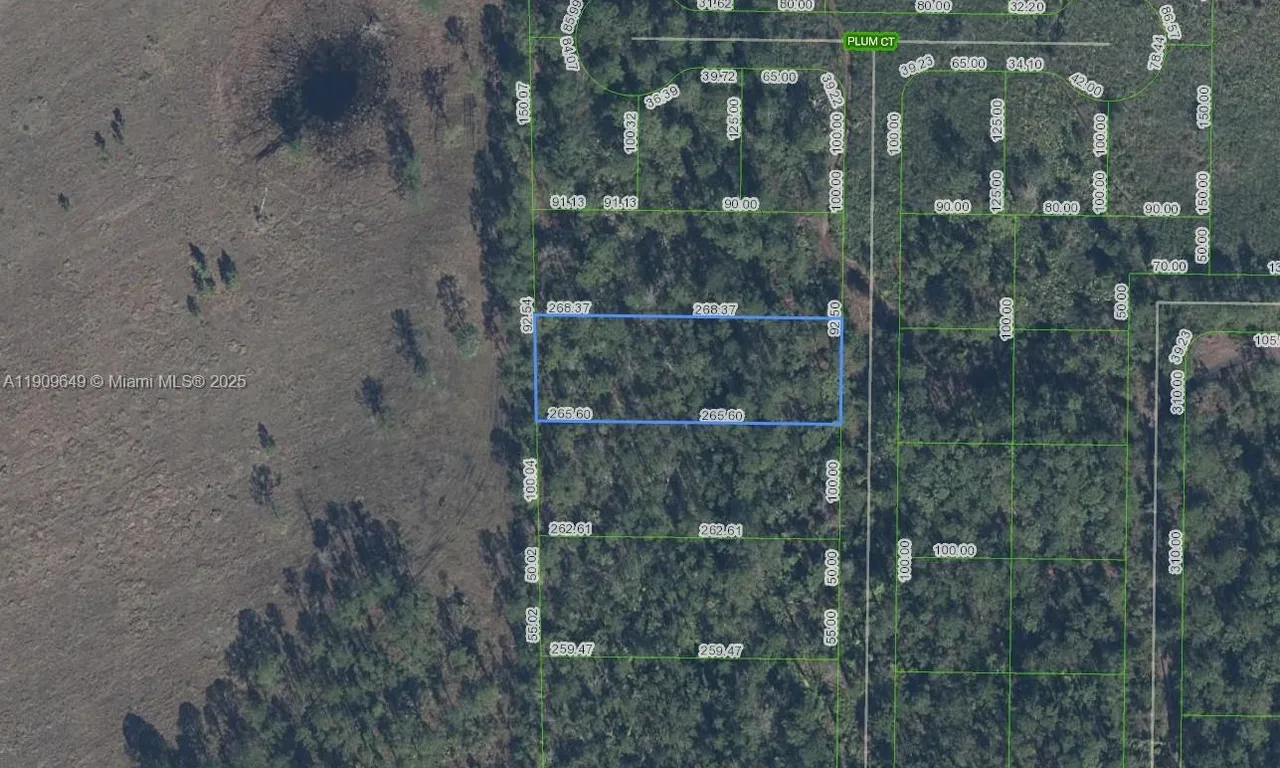 4705 Rhubarb Street, Sebring FL 33875
