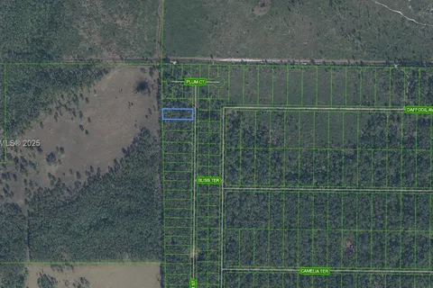 4705 Rhubarb Street, Sebring FL 33875