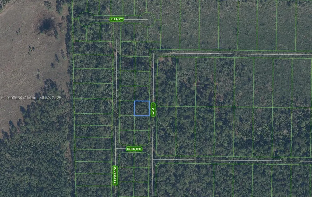 4817 Palm Road, Sebring FL 33875