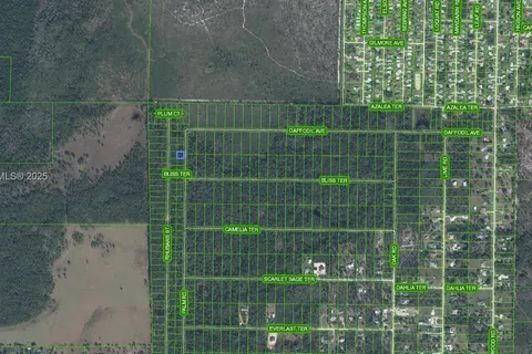 4817 Palm Road, Sebring FL 33875