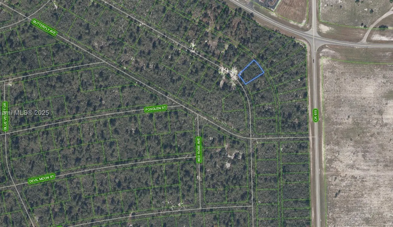 556 Ebbtide, Lake Placid FL 33852