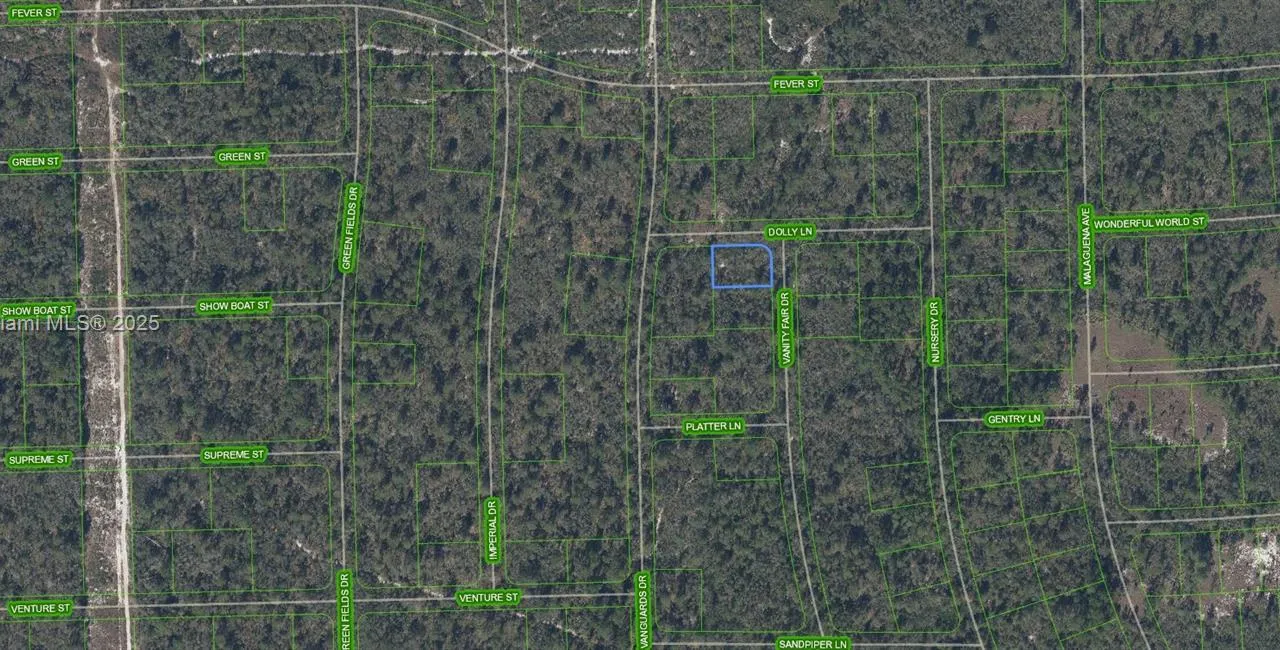 305 Dolly Lane, Lake Placid FL 33852
