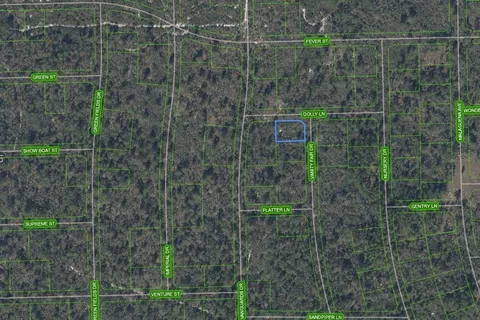 305 Dolly Lane, Lake Placid FL 33852