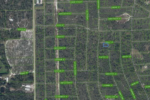 305 Dolly Lane, Lake Placid FL 33852