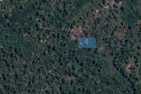 305 Dolly Lane, Lake Placid FL 33852