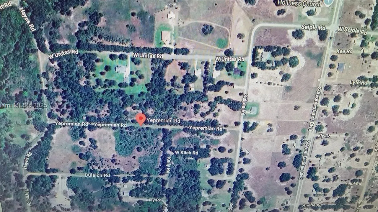 2822 Yepremian Rd, Avon Park FL 33825