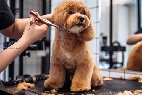 Pointe Blvd, Dania Beach FL 33004