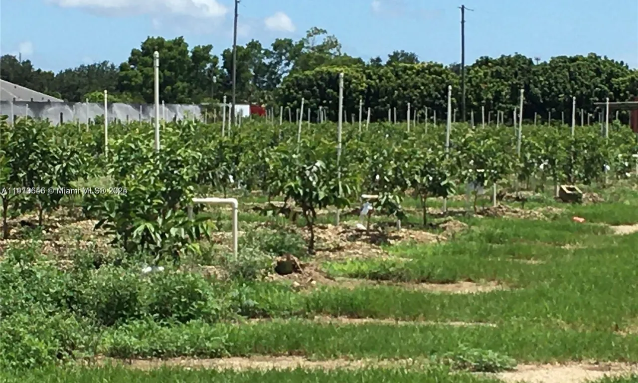 15000 SW 256 ST., Homestead FL 33032