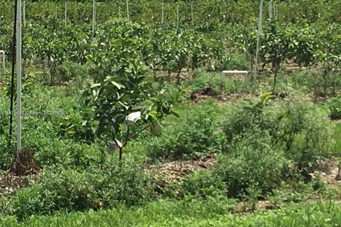 15000 SW 256 ST., Homestead FL 33032