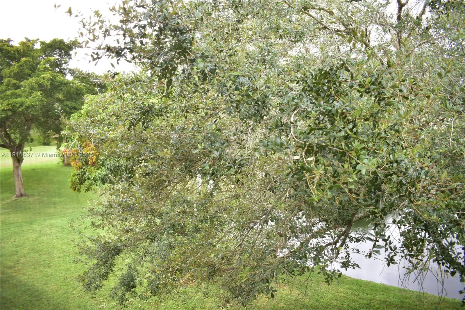 9301 Sunrise Lakes Blvd # 303, Sunrise FL 33322