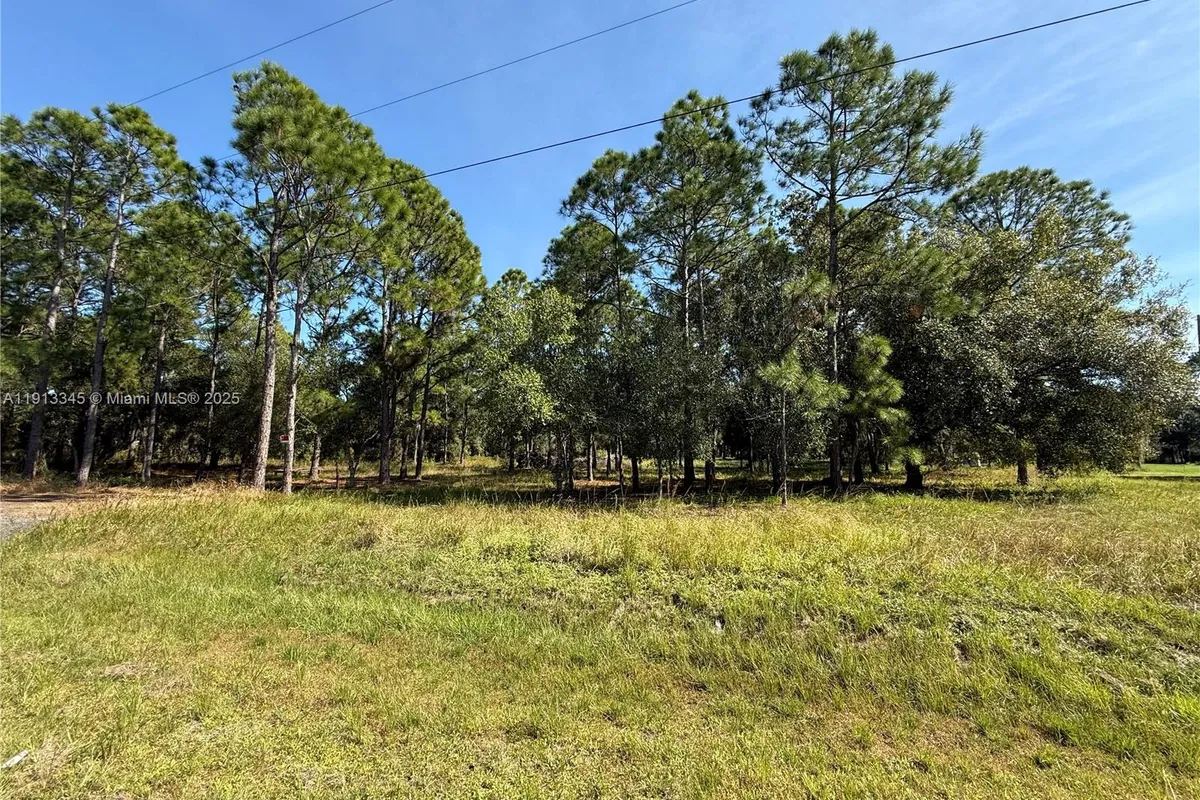 335 N LINDERO ST, Clewiston FL 33440